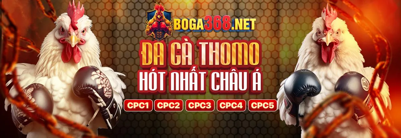 Hình ảnh minh họa cookie chức năng cá nhân hóa cài đặt mocbai link vào